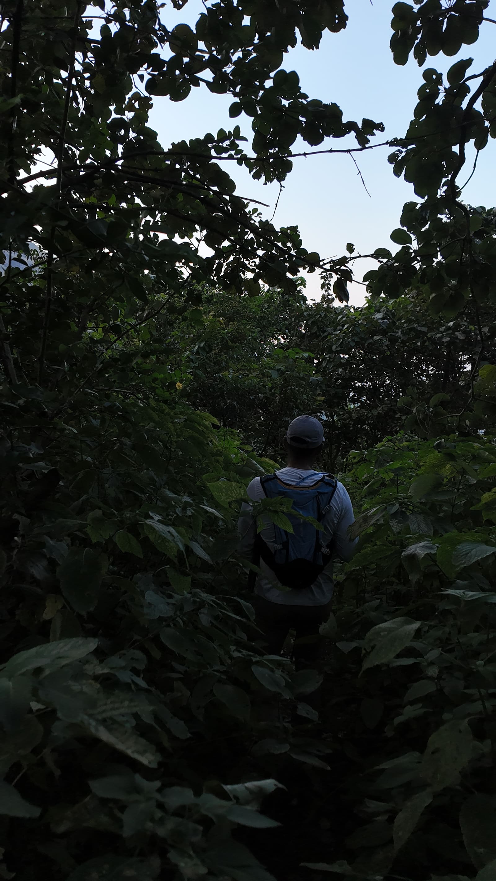 Dense forest at the base of Nalichi Waat