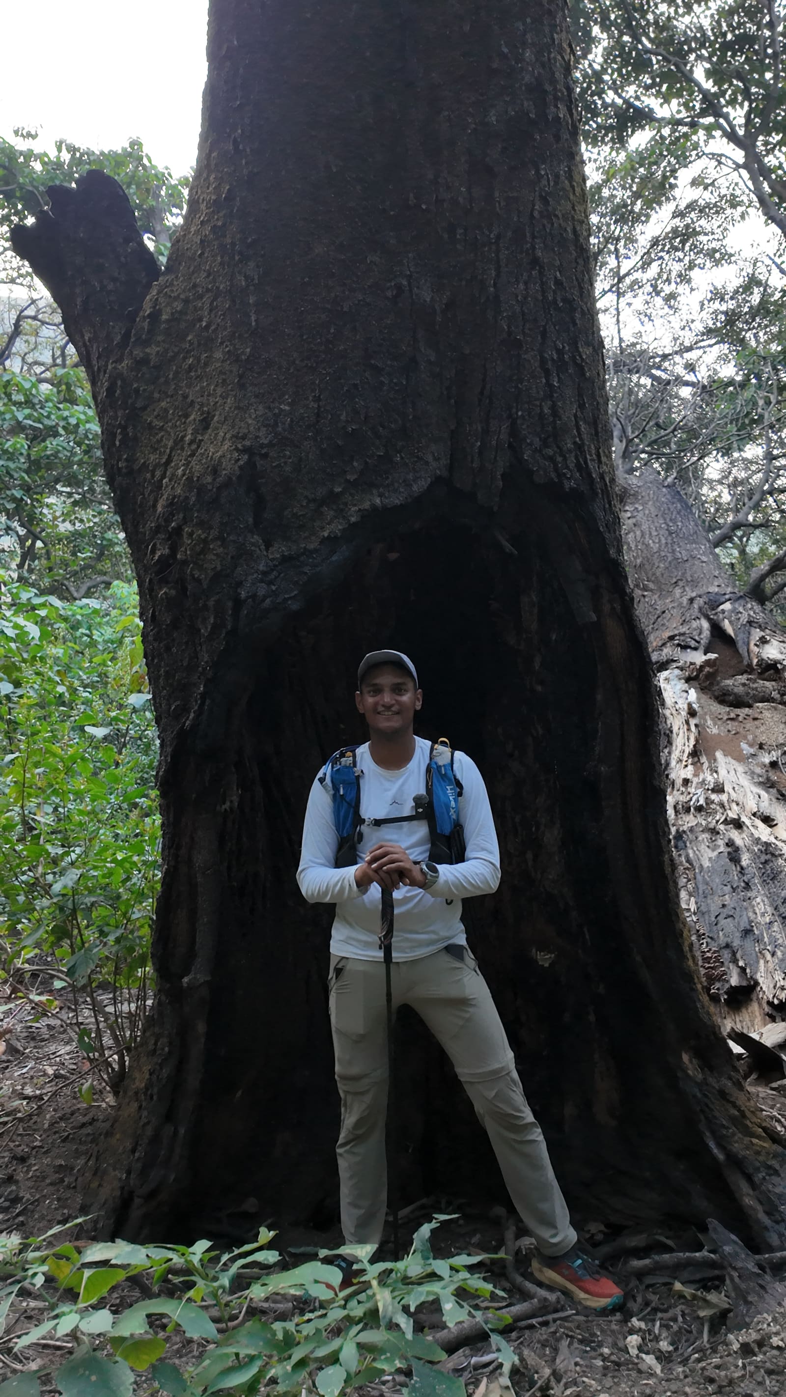 Forest Cover before Kharketwasti
