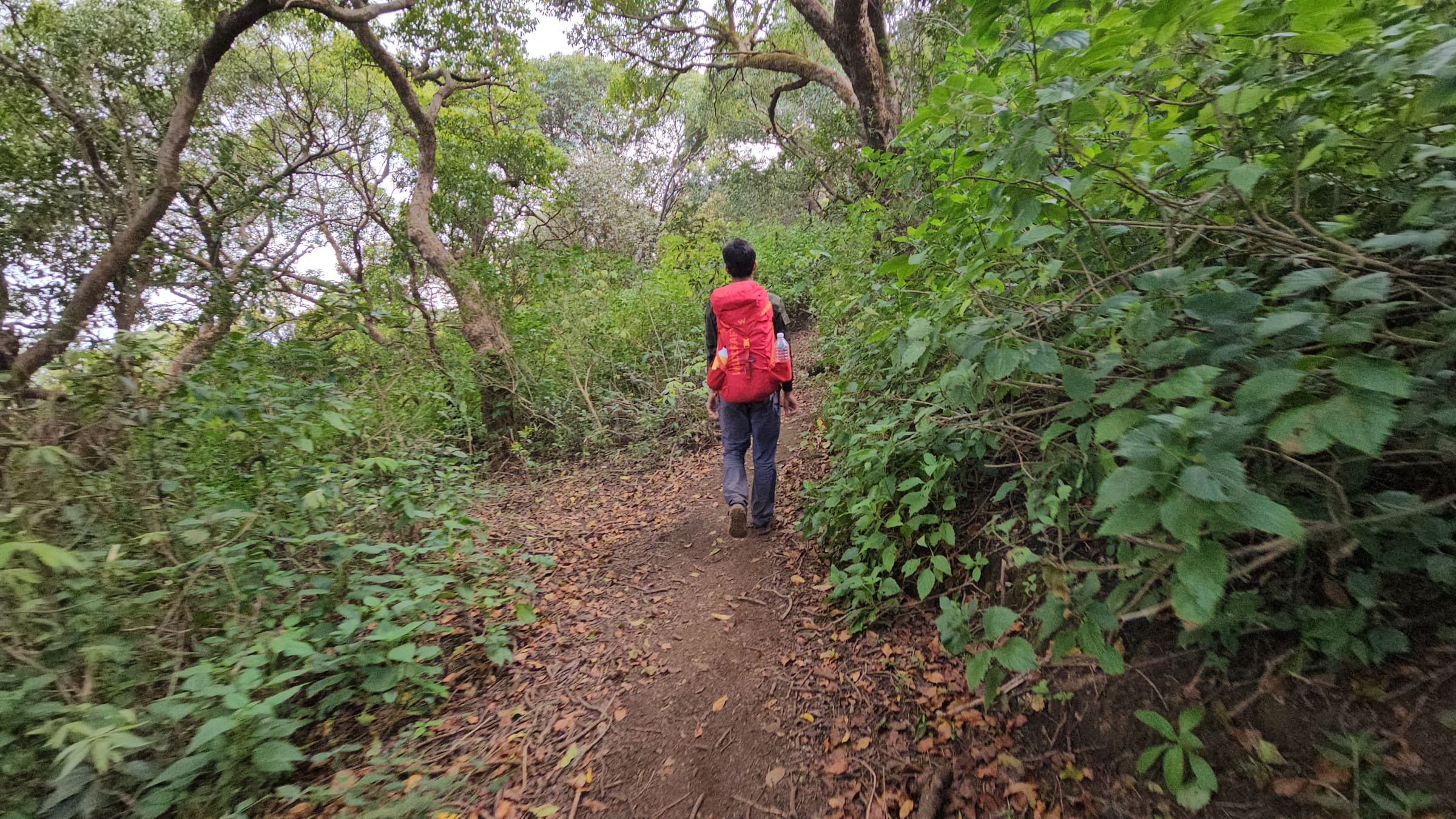 Kalsubai to Sakira trail